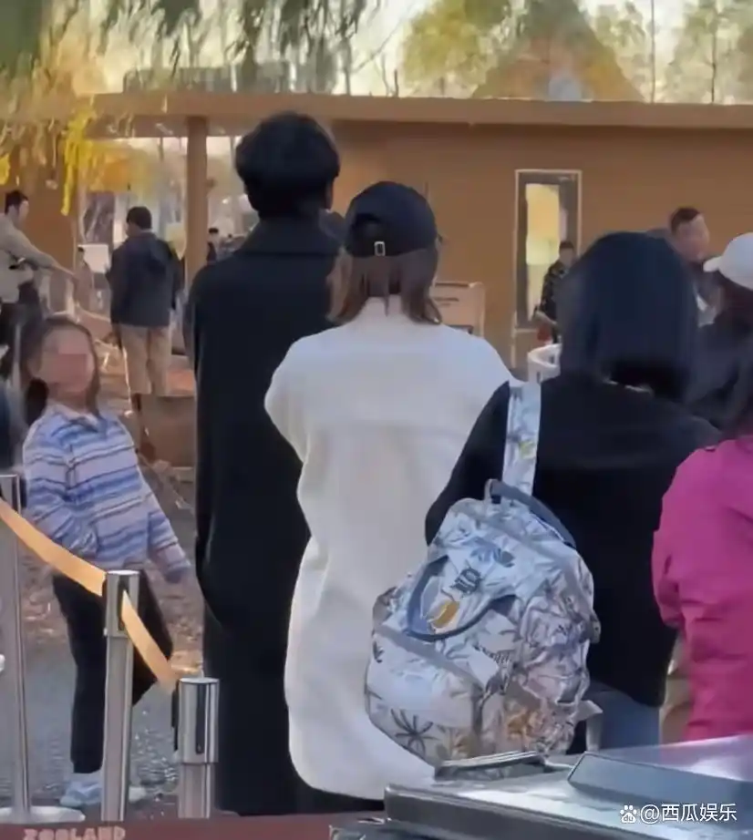 唐嫣罗晋婚姻幸福案例_娱乐圈陈晓陈妍希离婚_娱乐圈夫妻有哪些照片