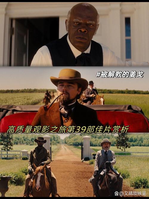 解救的姜戈在线观看_电影《解救》_被解救的姜戈在线观看