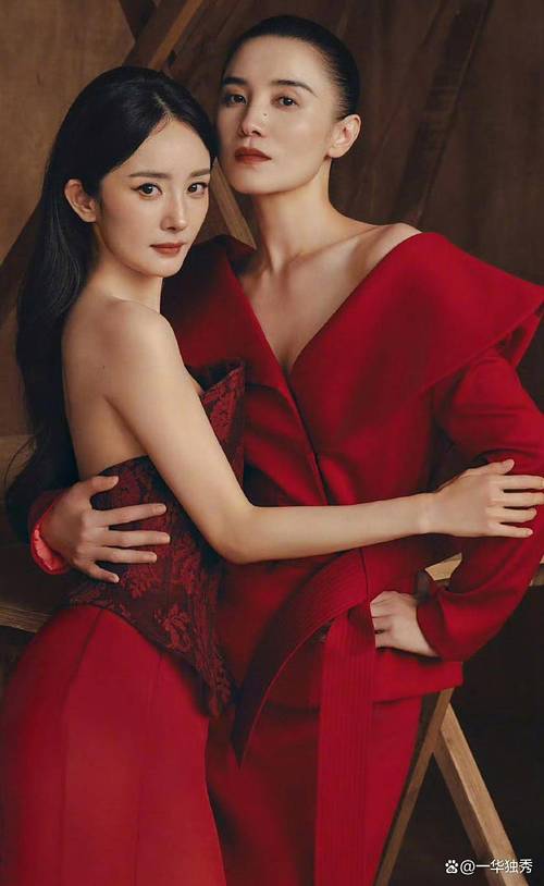 女明星合影，终于不“宫斗”了？